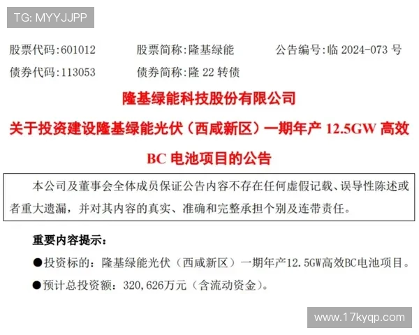 2025年最新白菜网大全推荐与使用指南